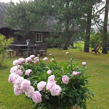 Kassari Maenni Summerhouse מראה חיצוני תמונה